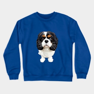 Cavalier King Charles Spaniel Tri Crewneck Sweatshirt